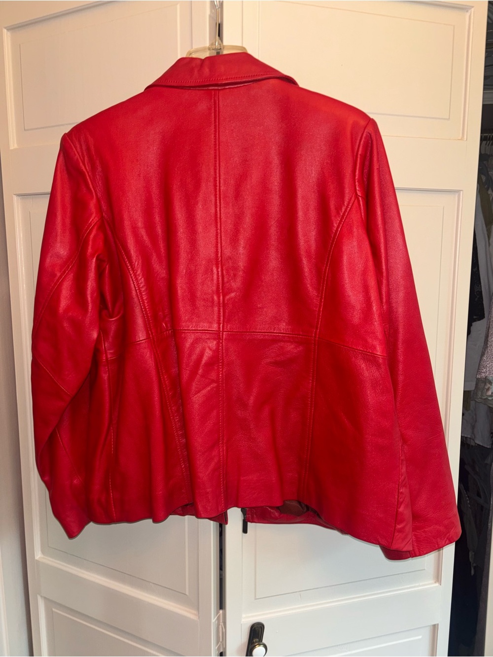 Red Leather Whet Blu Jacket - Women’s Classic Zip Coat - Picture 2 of 2